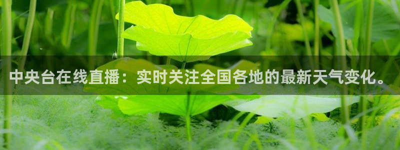 jytv鲸鱼体育直播：中央台在线直播：实时关注全国各地的最新天气变化。
