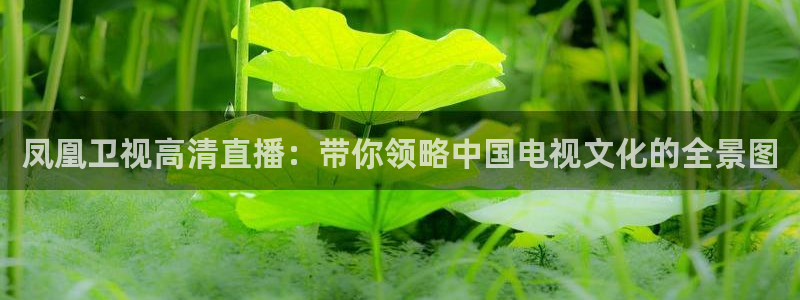 鲸鱼体育nba直播在线观看免费：凤凰卫视高清直播：带你领略中国电视文化的全景图