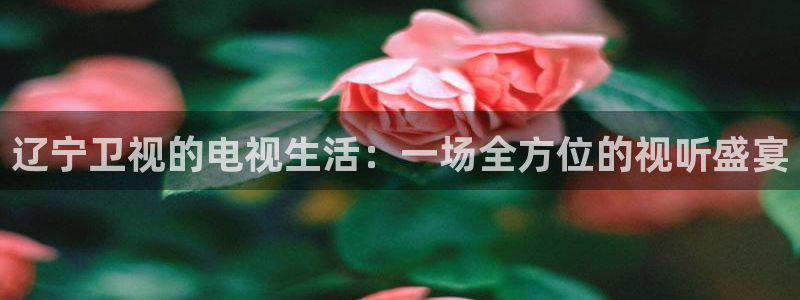 cc68tv鲸鱼体育：辽宁卫视的电视生活：一场全方位的视听盛宴