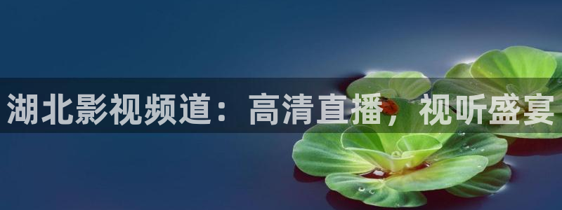 鲸鱼体育下载官方正版：湖北影视频道：高清直播，视听盛宴