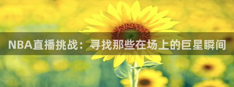 鲸鱼体育在线直播nba：NBA直播挑战：寻找那些在场上的巨星瞬间