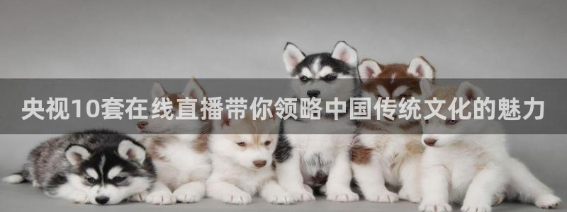 jytv鲸鱼体育：央视10套在线直播带你领略中国传统文化的魅力