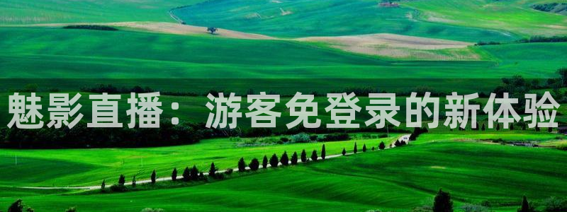 鲸鱼体育头狼直播间：魅影直播：游客免登录的新体验